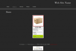 Thumbnail image for How to Build a Website with a WePay eStore
